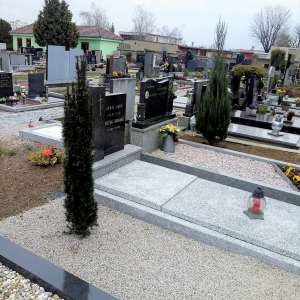 výsadba5
